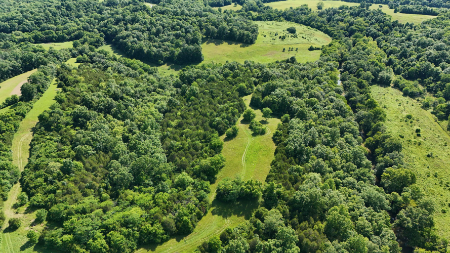 Listing Image 88