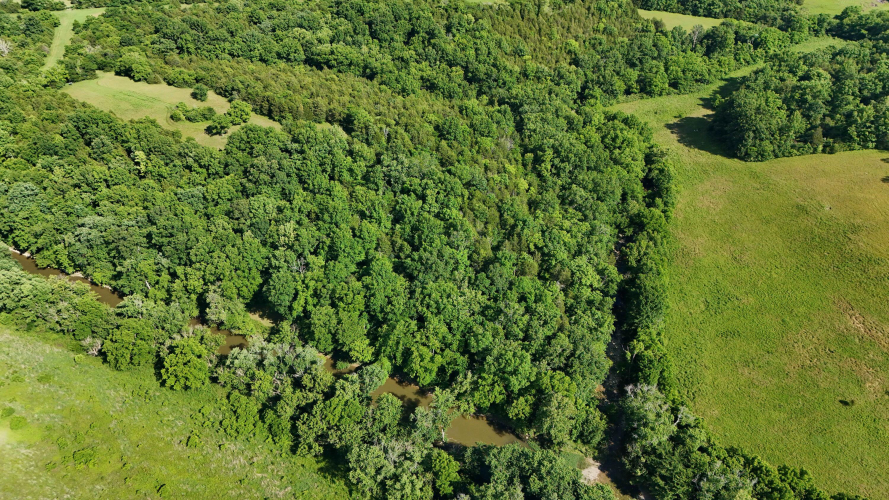 Listing Image 90