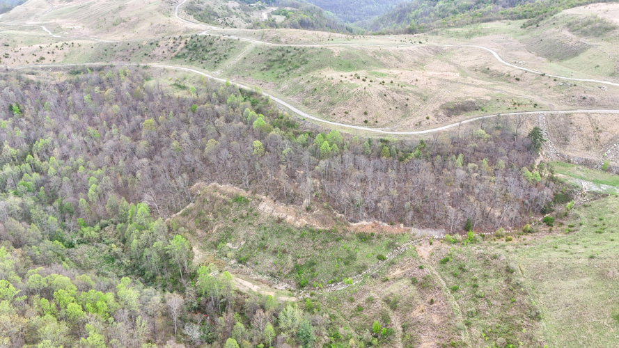 Listing Image 12