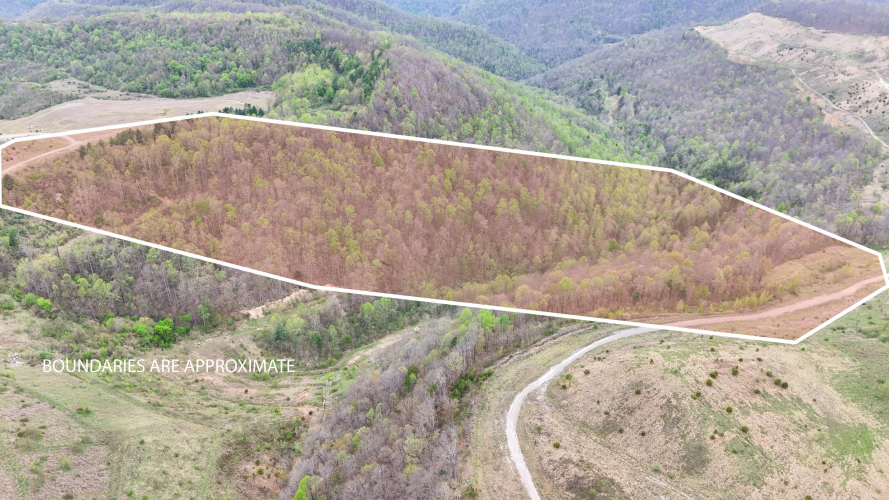 Listing Image 4