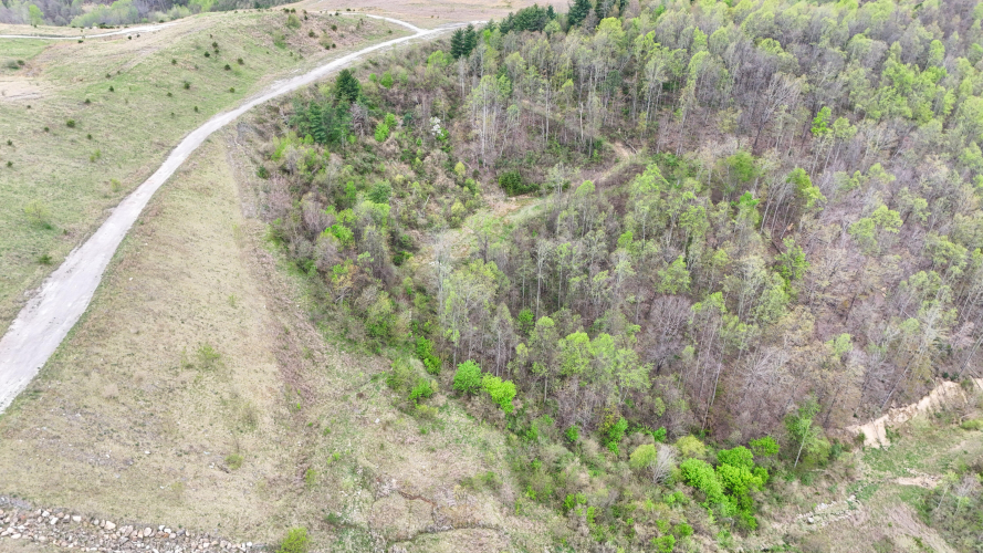 Listing Image 9