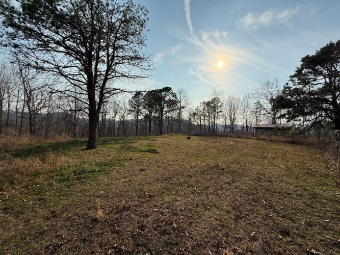 Listing Image 31
