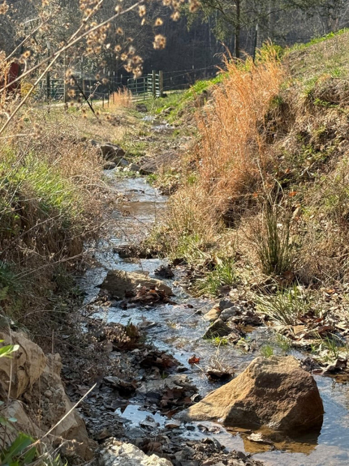 Listing Image 33