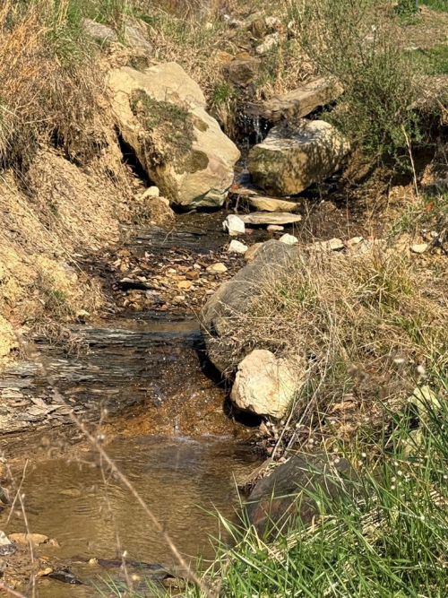 Listing Image 35