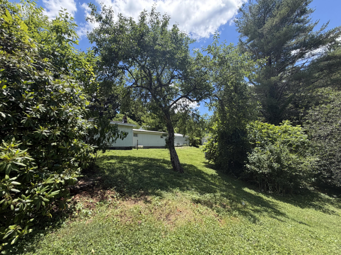 Listing Image 20