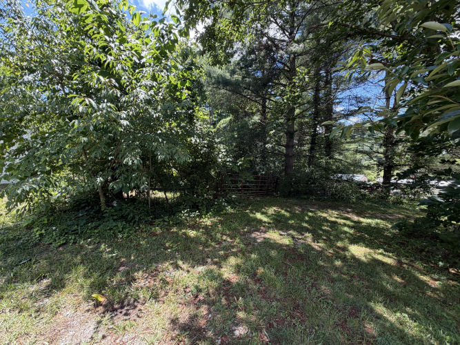 Listing Image 35
