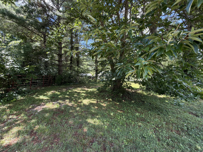 Listing Image 36
