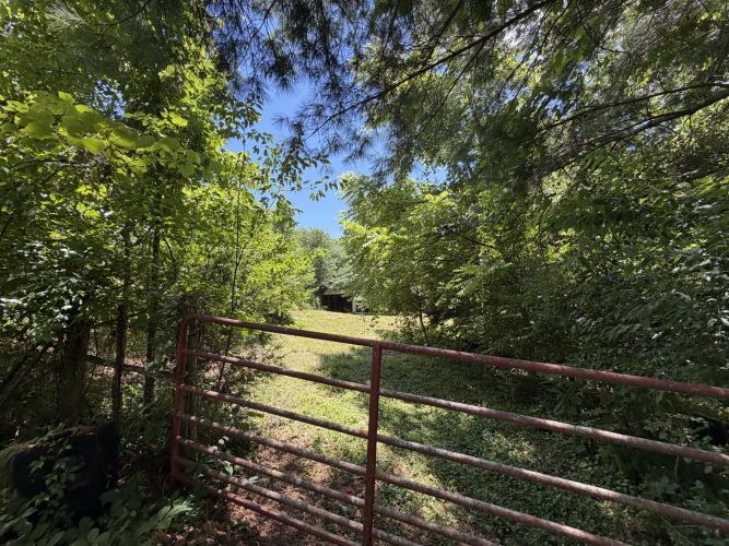 Listing Image 38