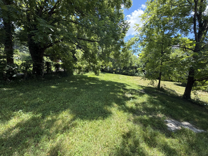 Listing Image 53