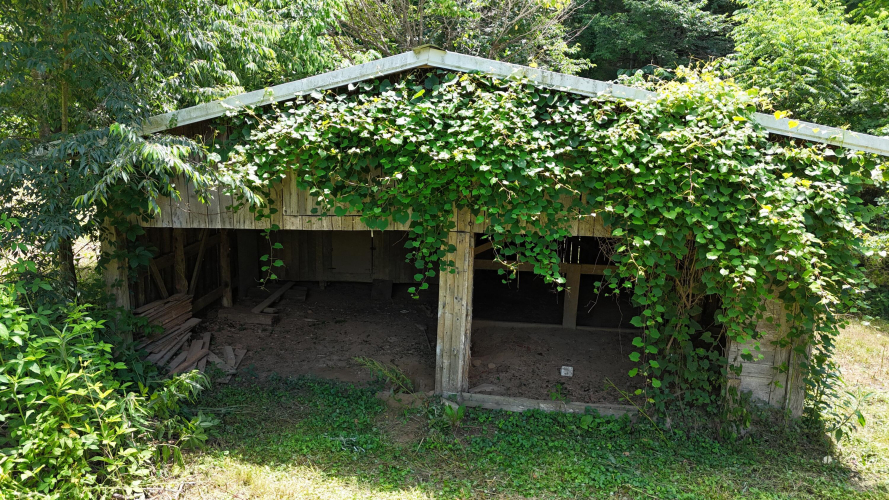 Listing Image 83