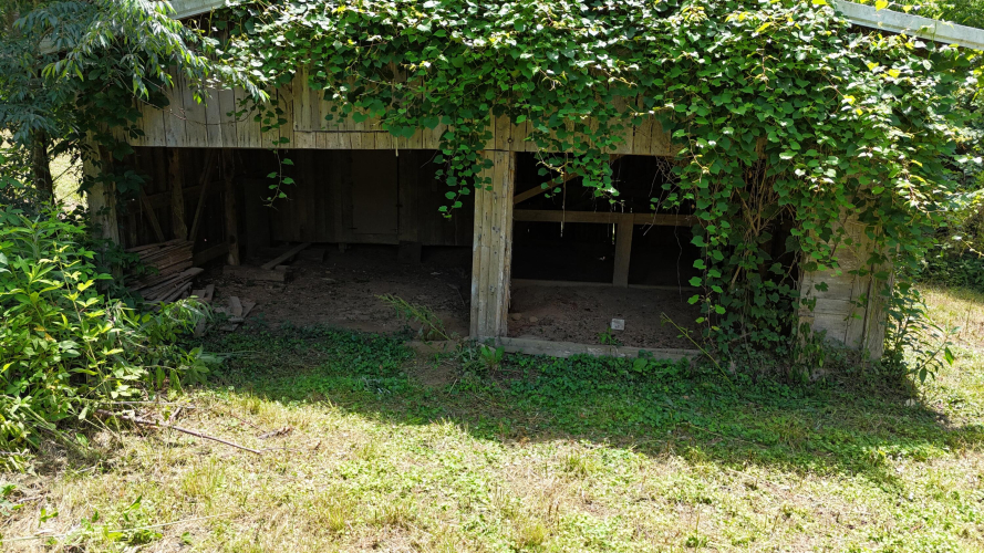 Listing Image 84