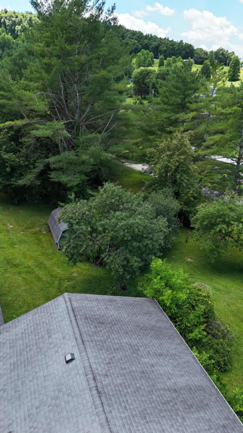 Listing Image 93