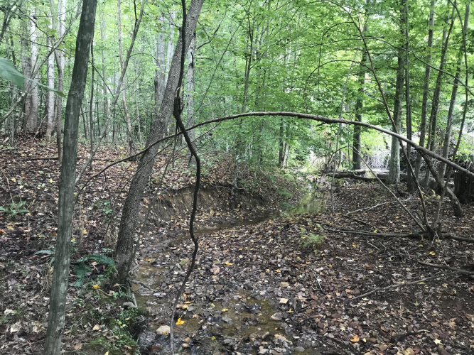Listing Image 17