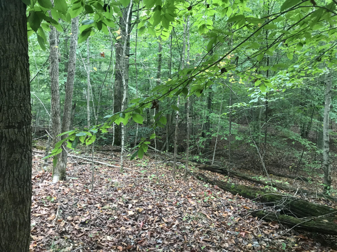 Listing Image 23