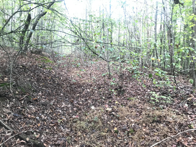 Listing Image 24