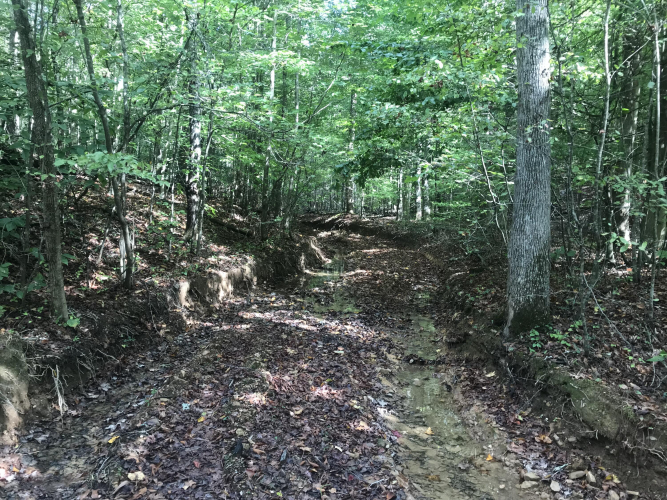 Listing Image 25