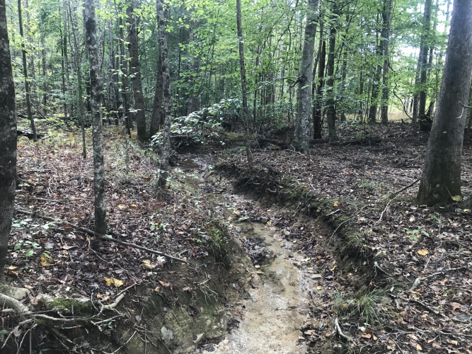 Listing Image 27