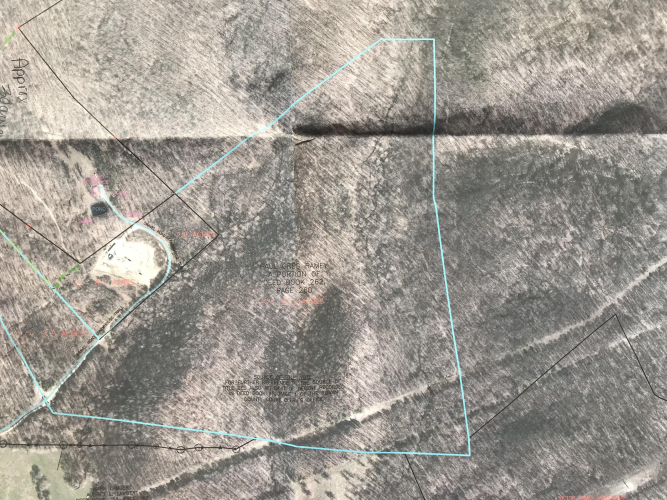 Listing Image 32