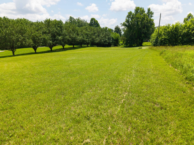 Listing Image 48