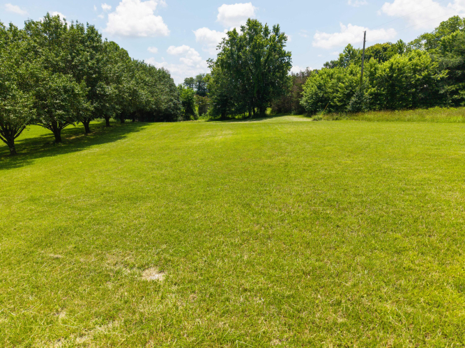 Listing Image 49