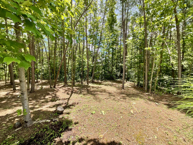 Listing Image 45