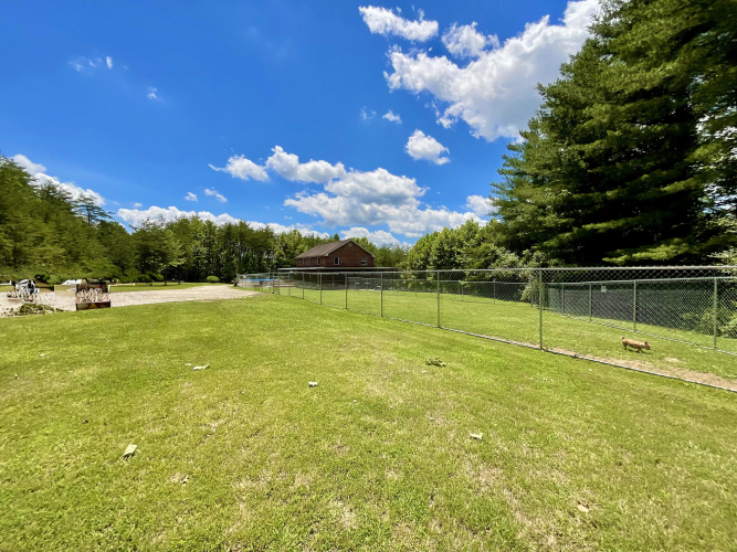 Listing Image 52