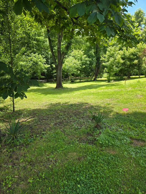 Listing Image 38