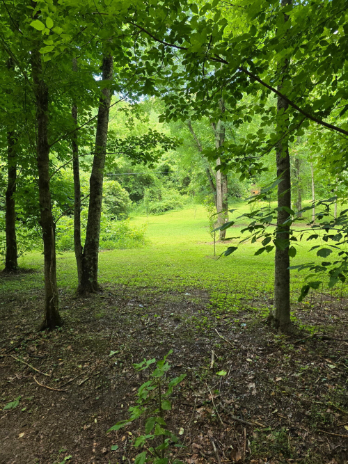 Listing Image 41