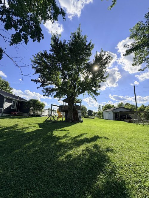 Listing Image 78