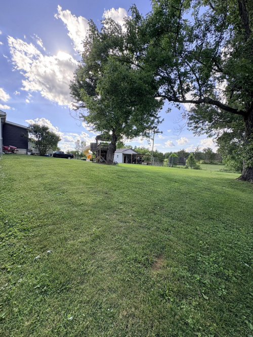 Listing Image 79