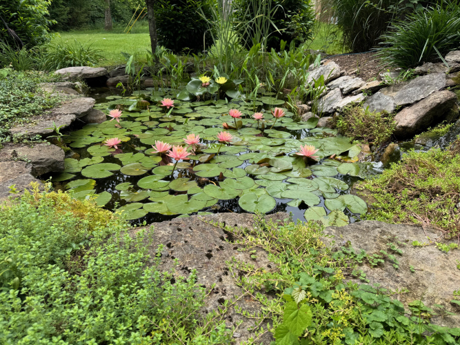 Listing Image 32