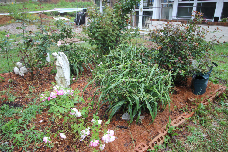 Listing Image 4