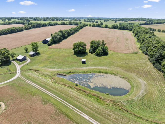 Listing Image 80