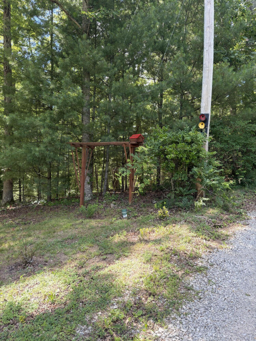 Listing Image 12