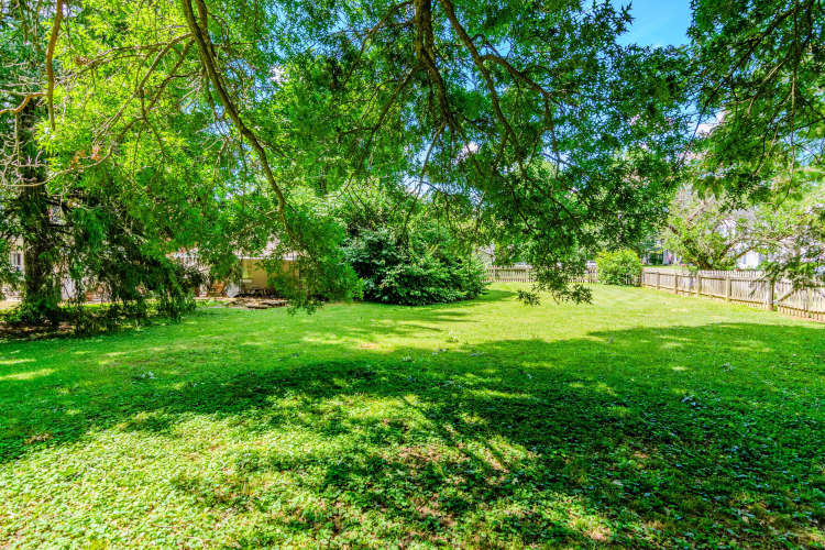 Listing Image 50