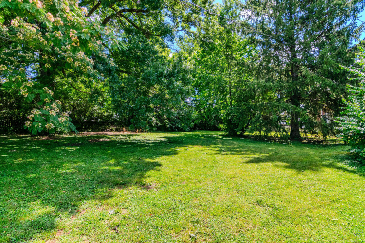 Listing Image 51