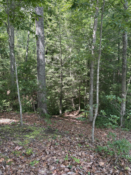 Listing Image 34