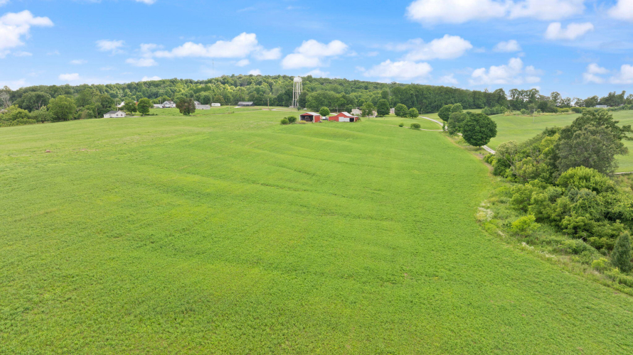 Listing Image 16
