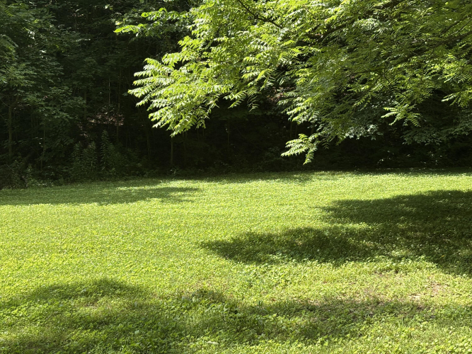 Listing Image 28