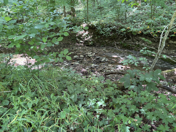 Listing Image 30
