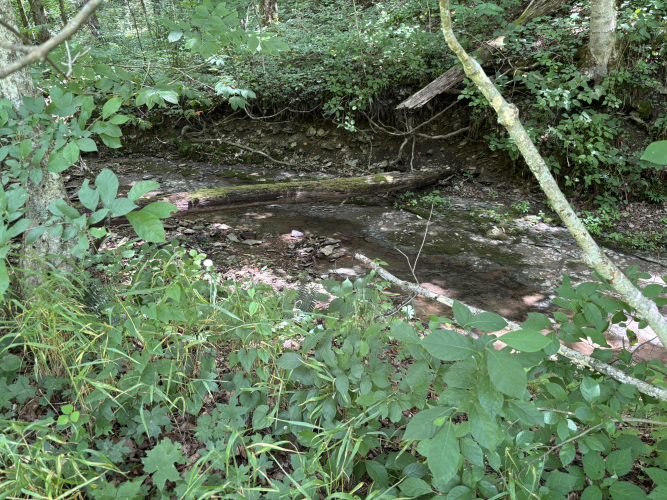 Listing Image 31