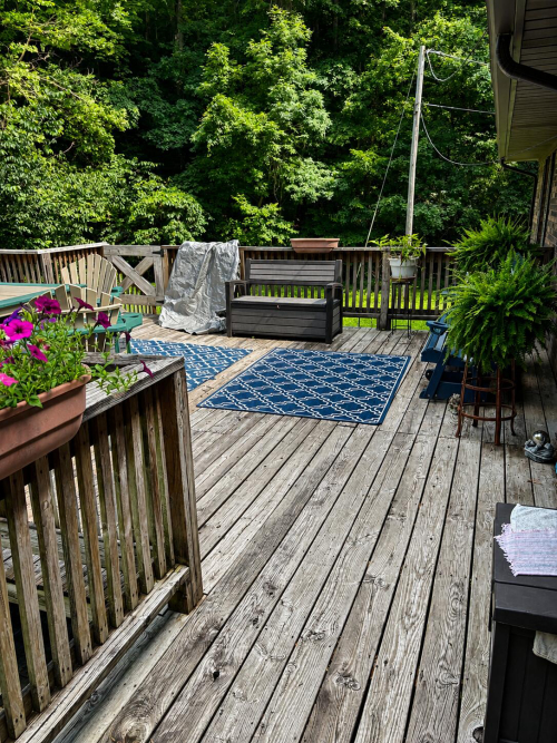 Listing Image 6