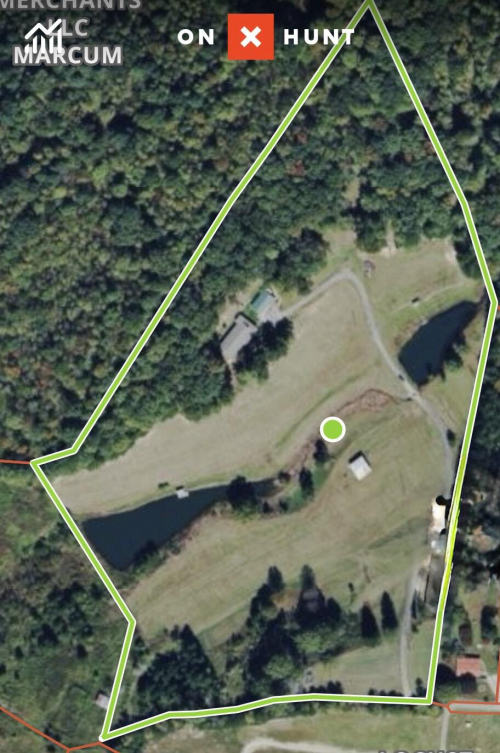 Listing Image 50