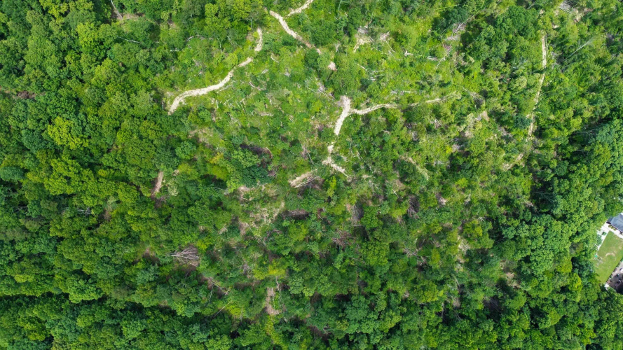 Listing Image 10