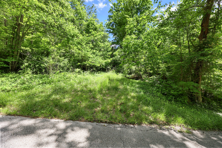 Listing Image 17