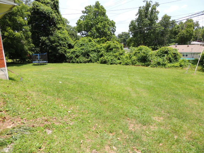 Listing Image 47