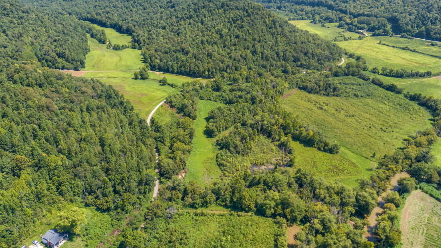 Listing Image 14