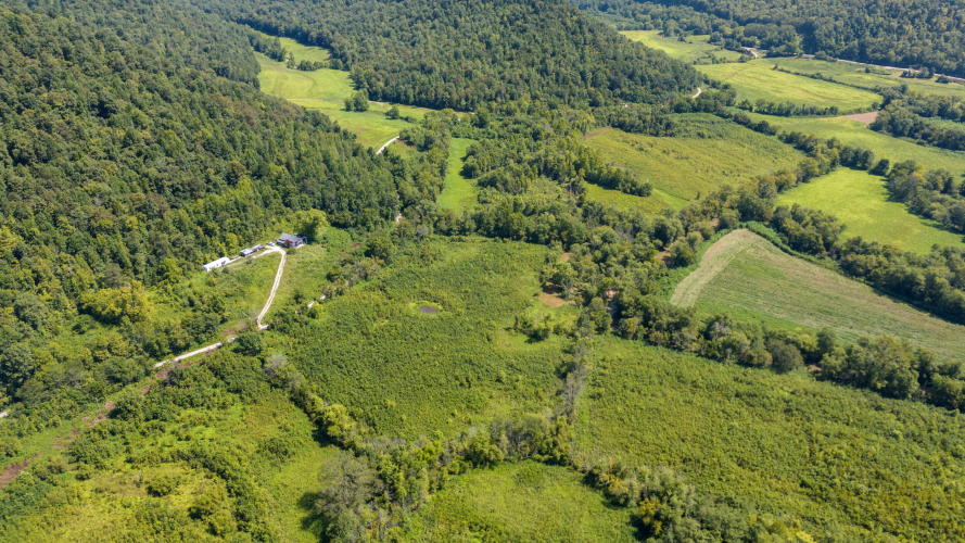 Listing Image 13