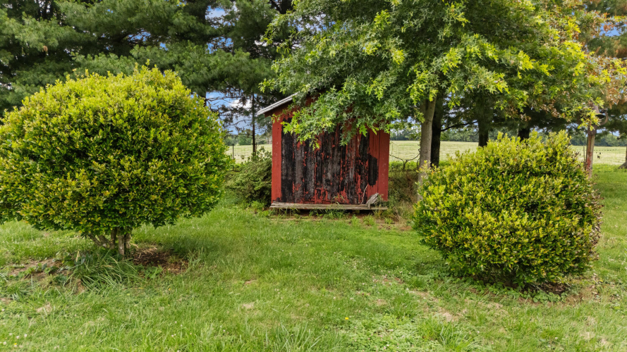 Listing Image 41