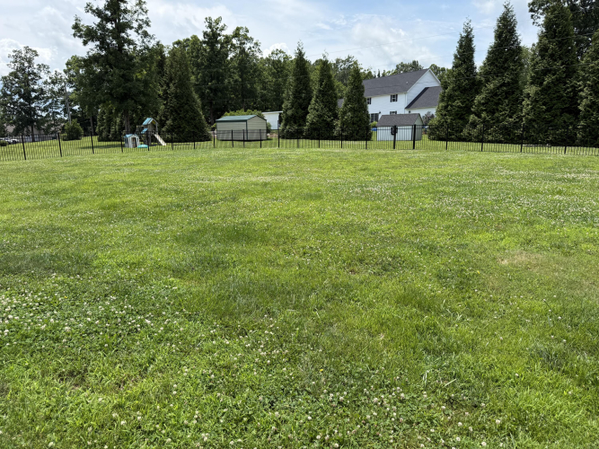 Listing Image 28